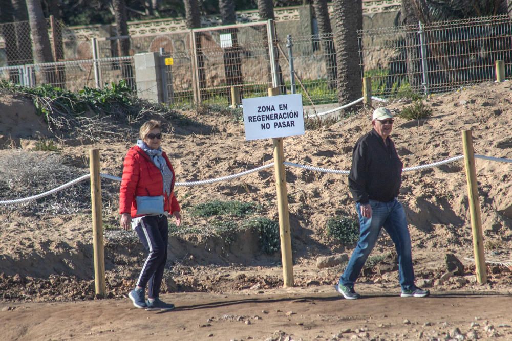 Costas ha realizado un proyecto de regeneración de los restos del cordón dunar de cala Ferrís, además de trabajos de poda y plantación de vegetación autóctona