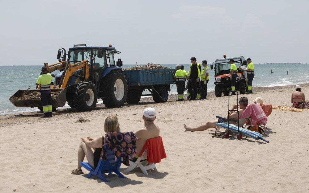 Carrera a contrareloj para tener a punto la playa de Canet d'En Berenguer