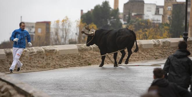 El "Bou en corda" vuelve al Pont Vell de Ontinyent