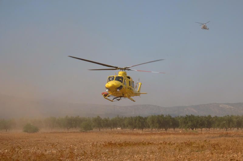 Declarado un incendio en una zona de barranco de Beneixama