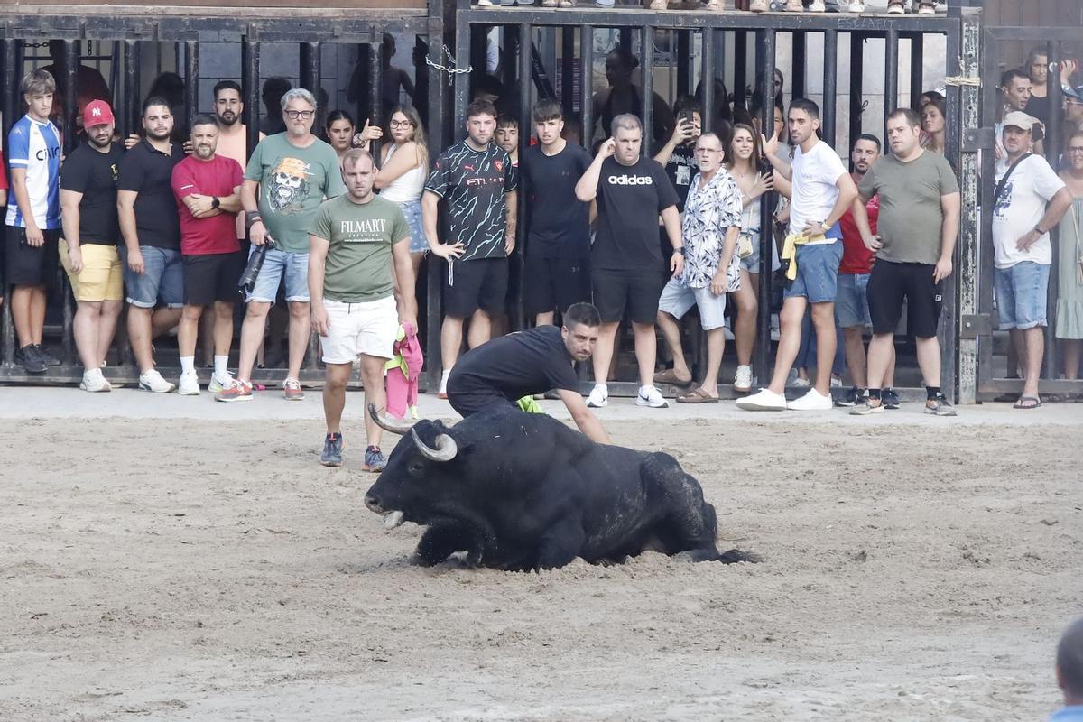 El toro ha quedado exhausto y tumbado sobre la arena del recinto, lo que ha obligado a concluir el festejo.