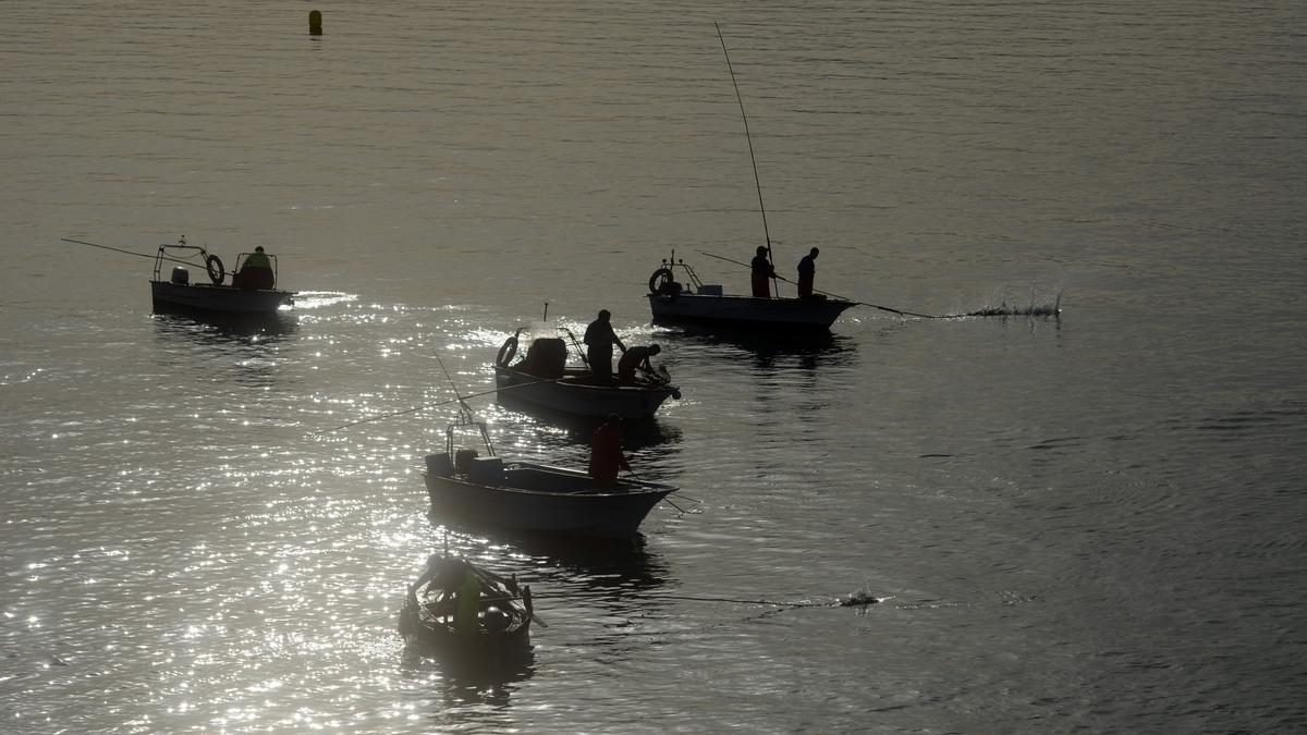 Marisqueo a flote en O Bohído, ayer