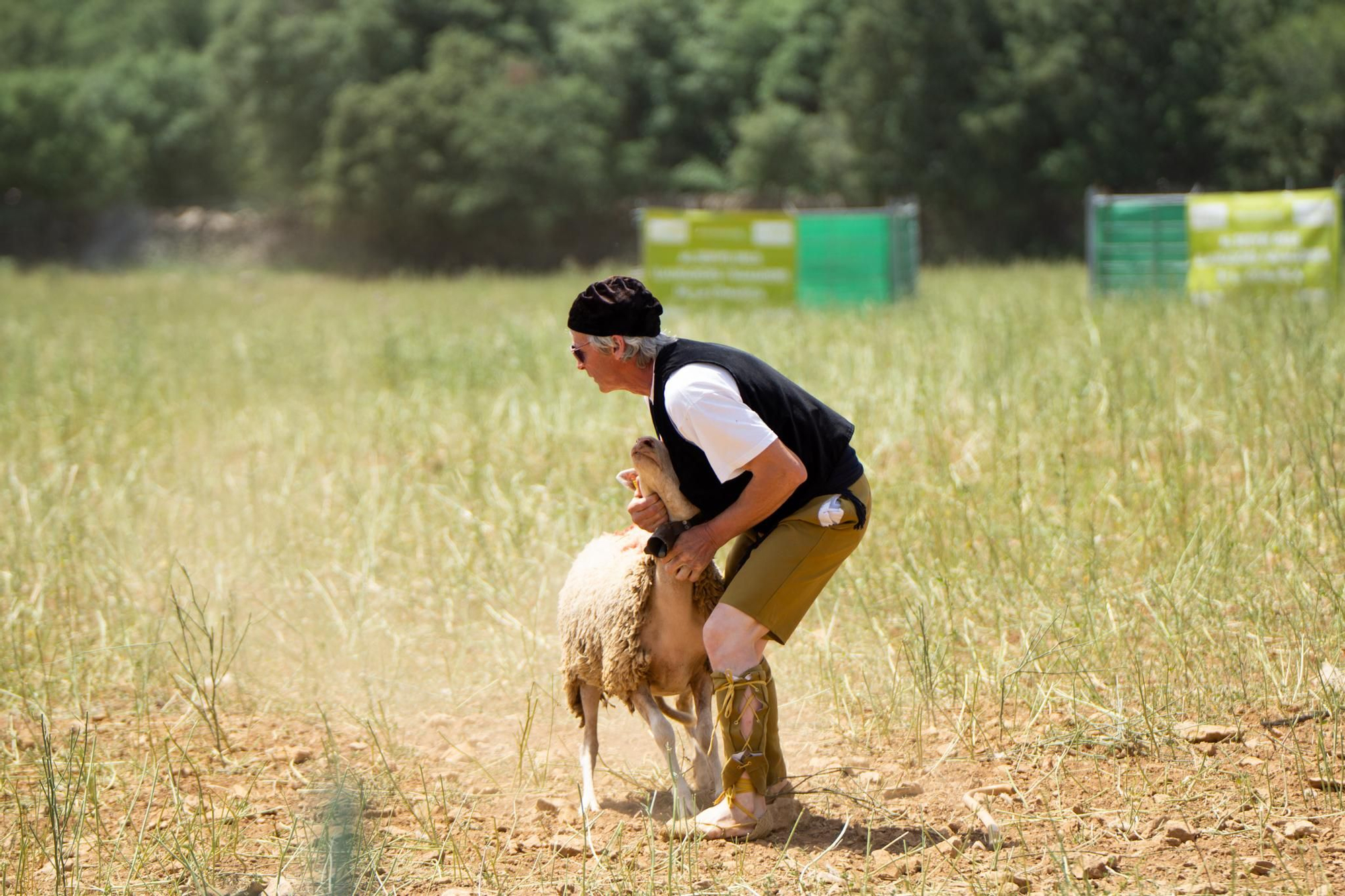 FOTOGALERÍA: Las imágenes del concurso de perros pastores de Ares del Maestrat
