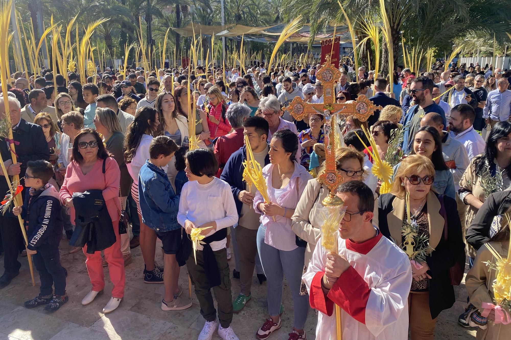 Domingo de Ramos en Elche