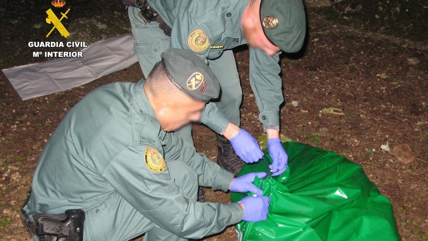 Investigado un varón por la &quot;muerte violenta&quot; de un mastín en una dehesa zamorana