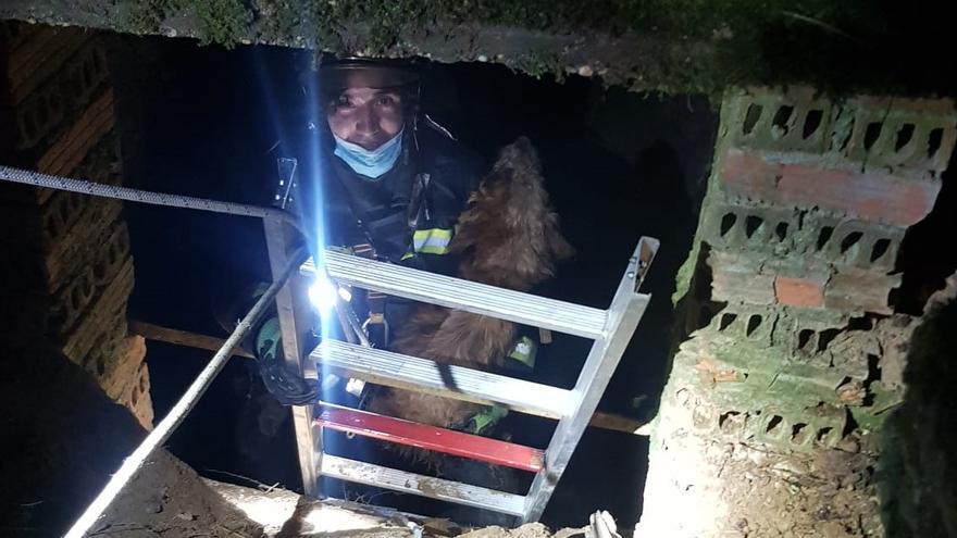 Los bomberos de Rionegro del Puente rescatan a Toby, el perro que había caído a un pozo.