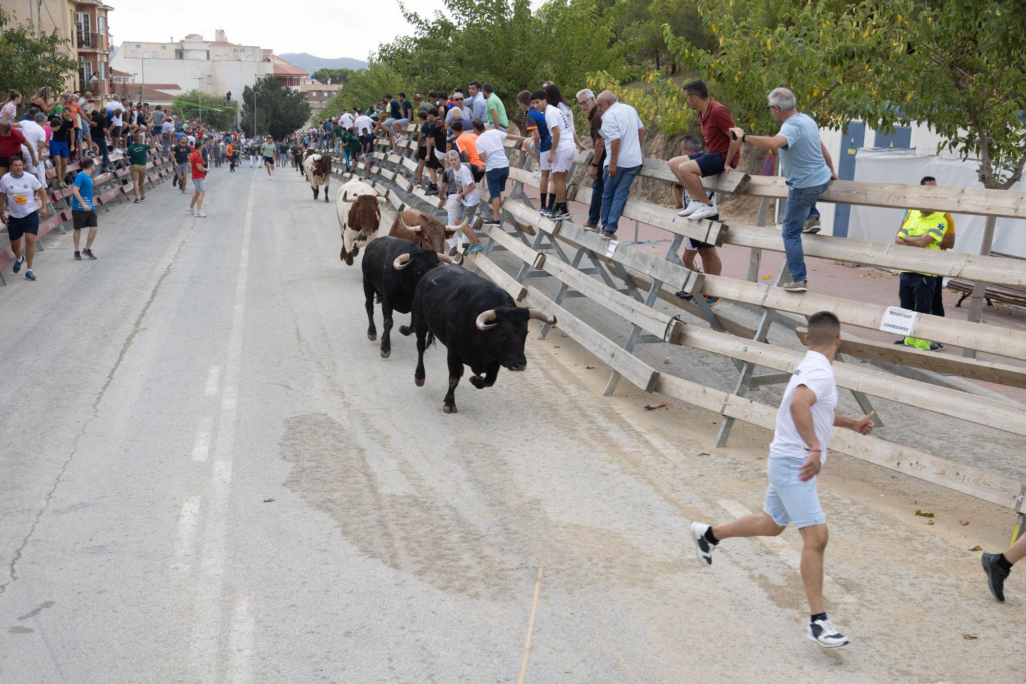 Tercer encierro de la Feria Taurina del Arroz en Calasparra