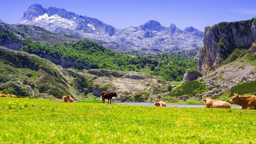 Los Lagos de Covadonga.