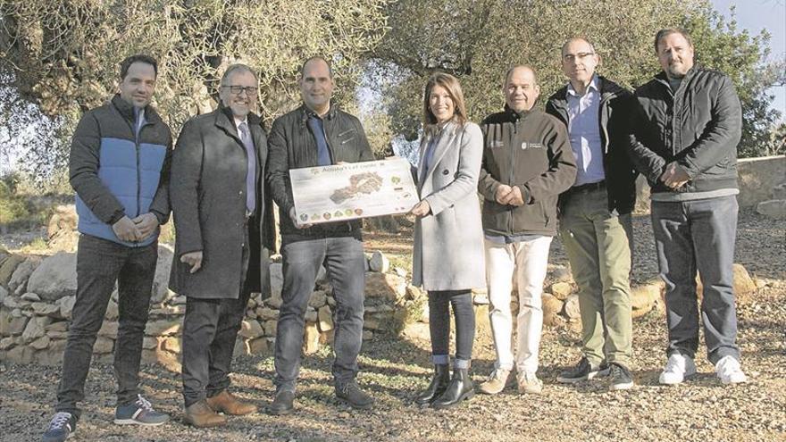 La Diputación dobla ayudas para árboles monumentales