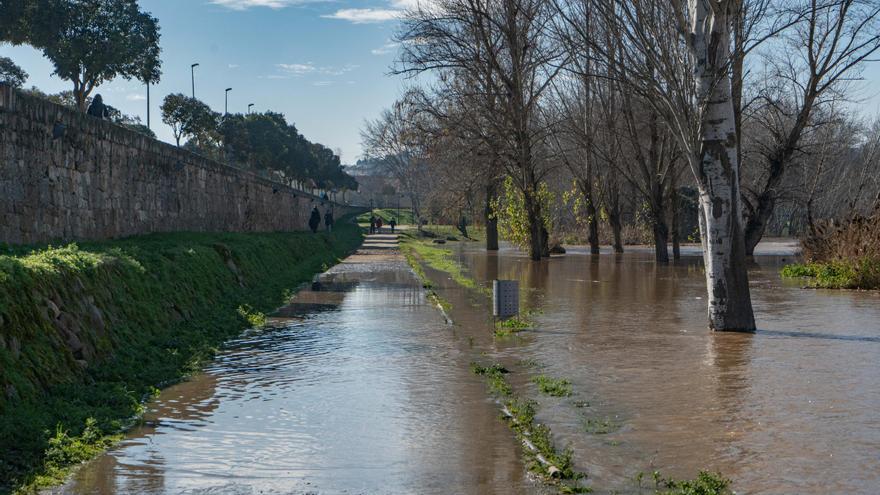 GALERÍA | Así está el río Duero a su paso por Zamora capital