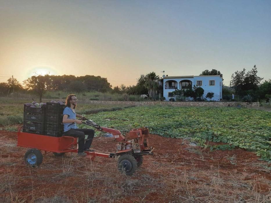 Esta iniciativa es una gran solución para el campo balear.