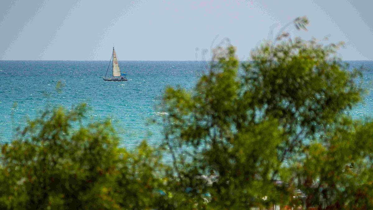 vista de la playa de Canet