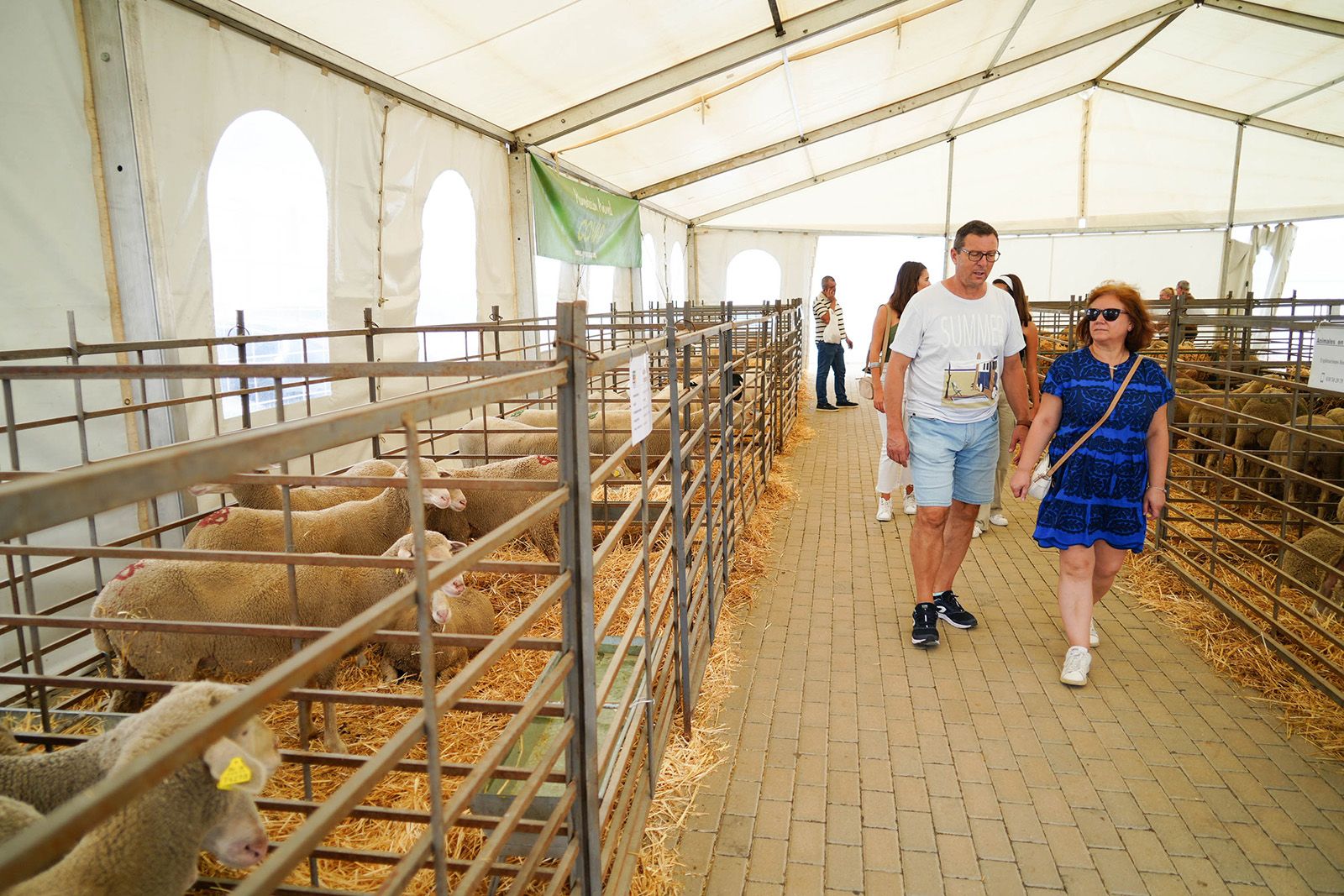 El sector agrícola y ganadero cordobés se da cita este fin de semana en Agrovap