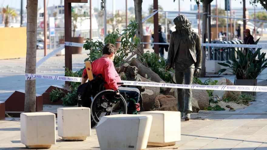 Trabajadoras de una tienda de la Marina de Ibiza: «Nos da pena que se cayera, era nuestro árbol»