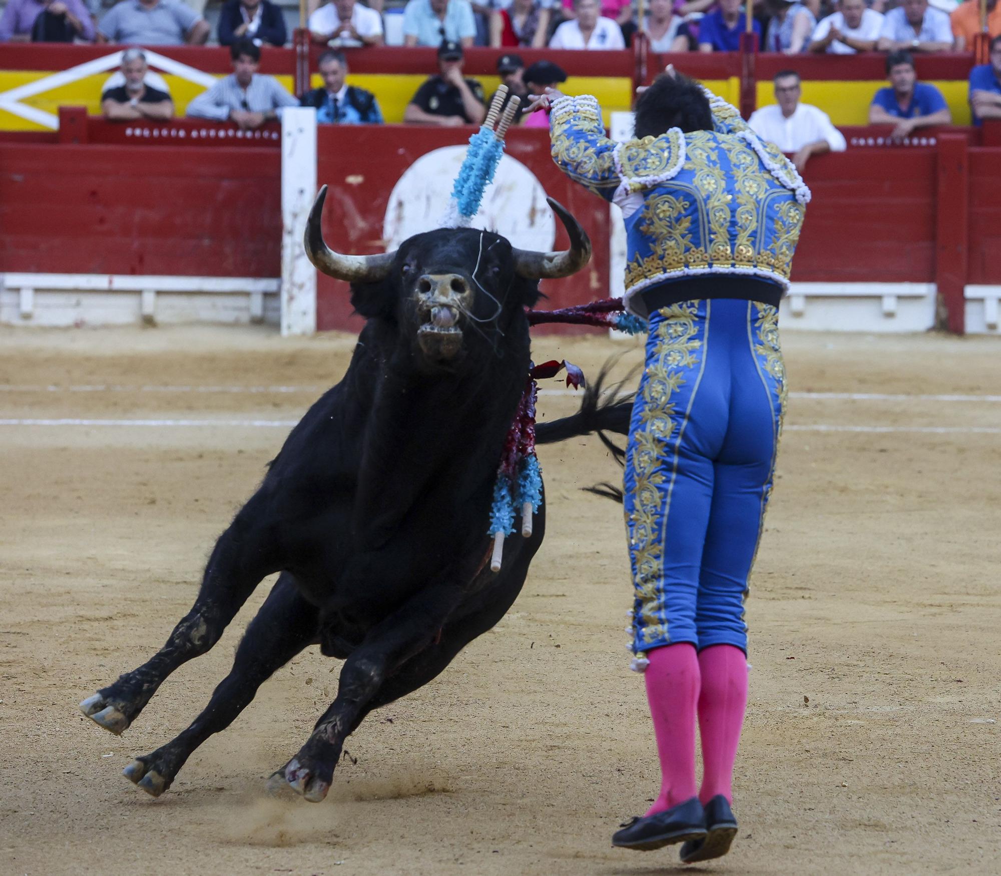 Novillada de Zacarías Moreno para cerrar la Feria de Hogueras