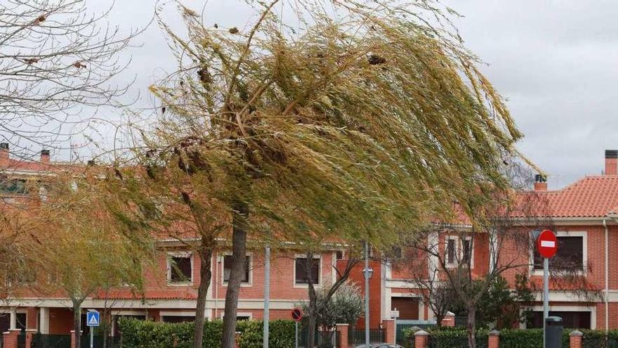 El viento alcanzó rachas de hasta 110 kilómetros por hora .