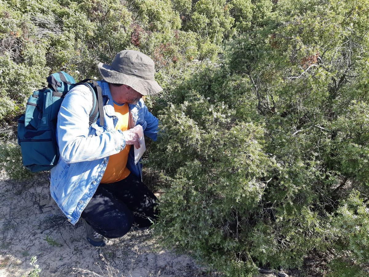 El Banco de Germoplasma Vegetal Andaluz: El Arca de Noé que custodia en Córdoba el futuro de la flora silvestre El Banco de Germoplasma Vegetal Andaluz: El Arca de Noé que custodia en Córdoba el futuro de la flora silvestre