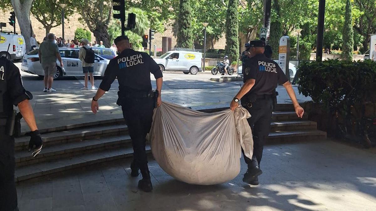 La Policía Local de Palma interviene 11 puntos de venta ambulante ilegal