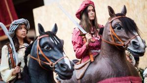 Festa del Renaixement de Tortosa.