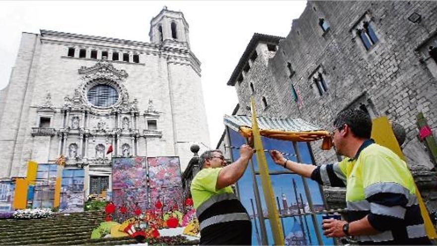 L&#039;empremta de «Joc de trons» es deixa notar en la 61a Exposició de Flors