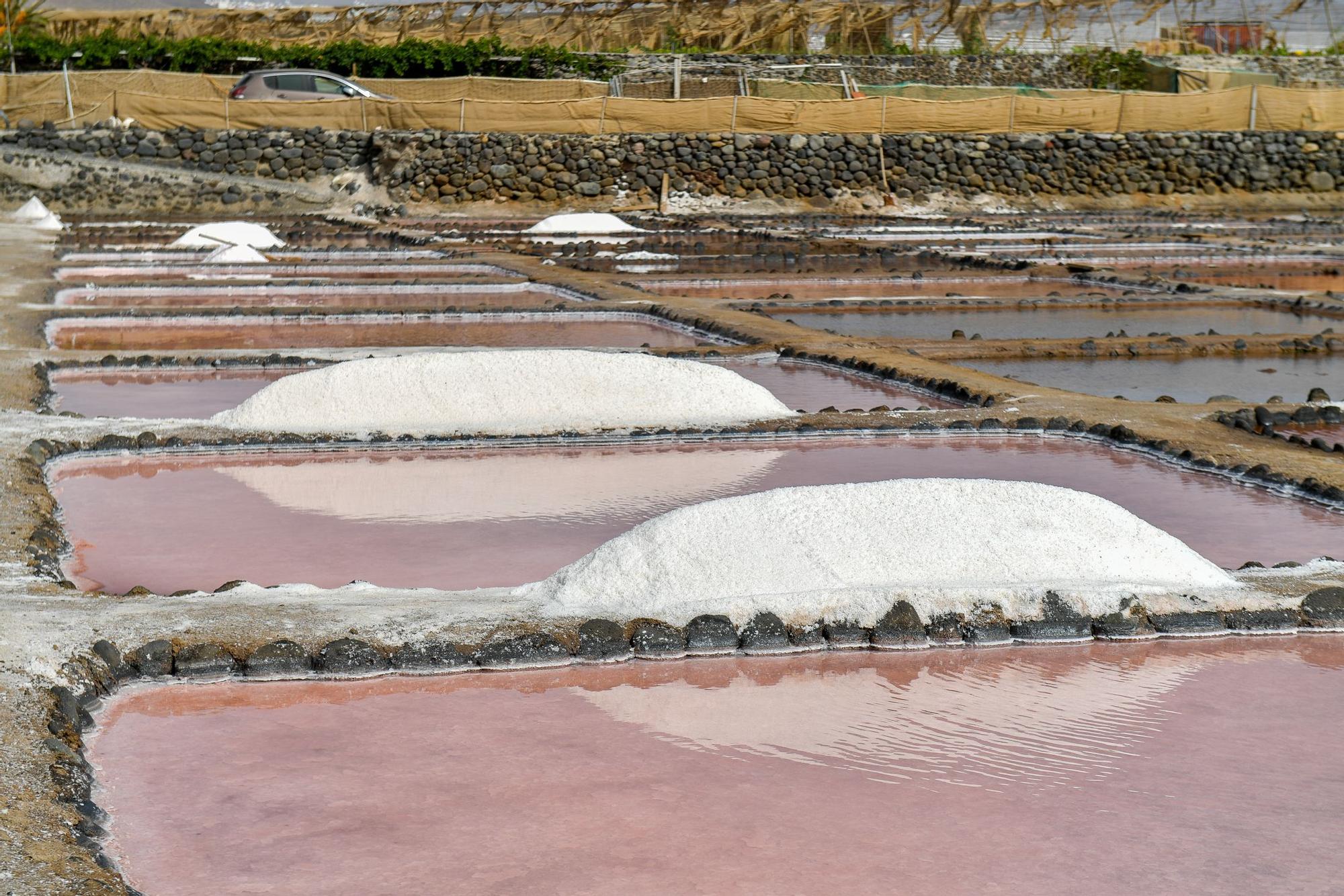 Salinas de Vargas