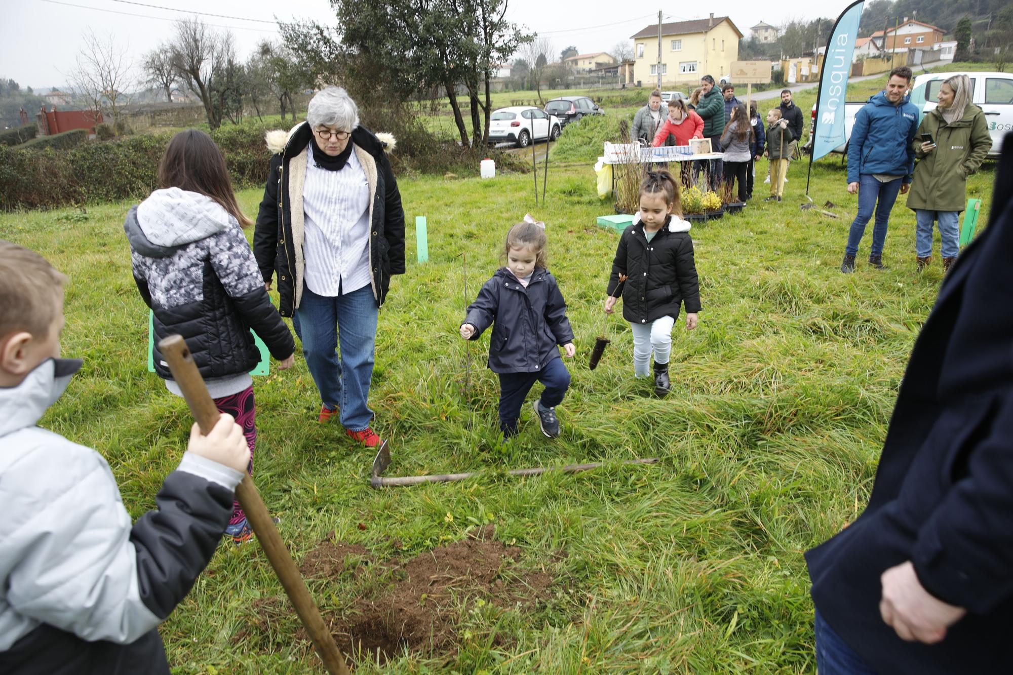 En imágenes: La alcaldesa de Gijón, en la plantación de árboles autóctonos en Somonte