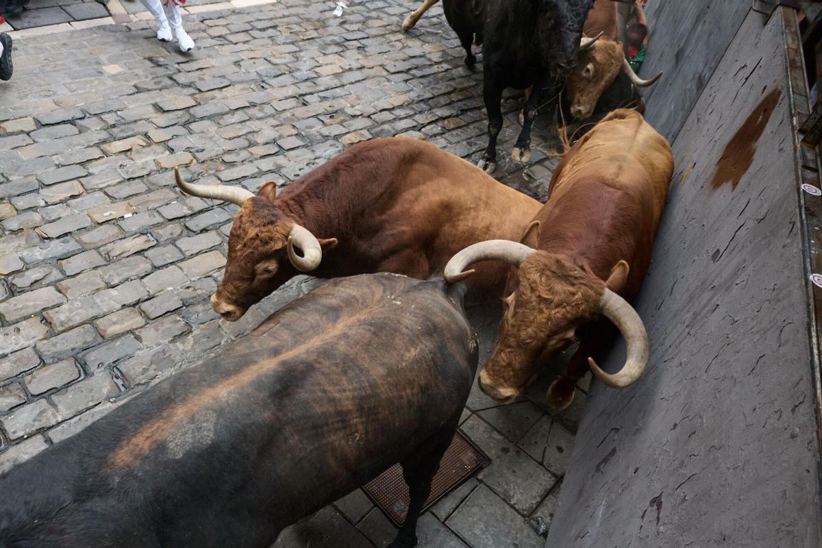 Veloz encierro de Álvaro Núñez con los toros liderando la carrera.