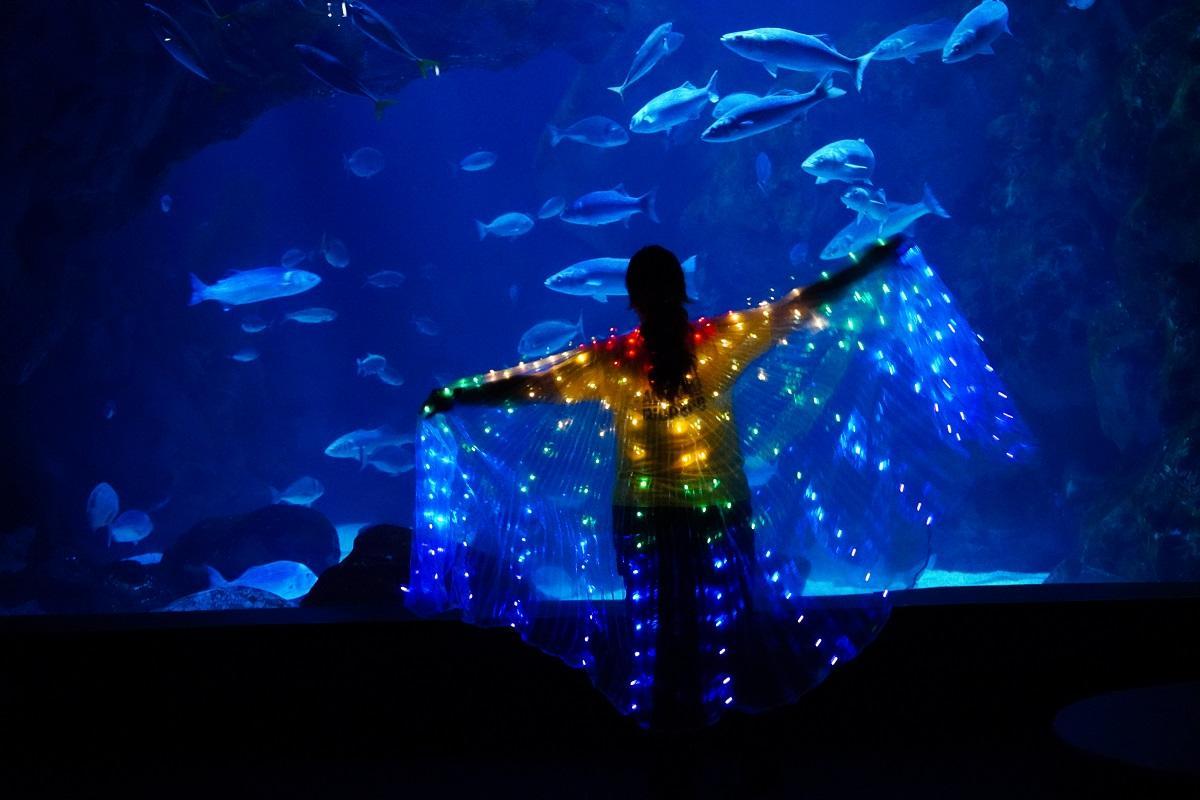 Hay diferentes actividades en el BIOPARC Acuario de Gijon