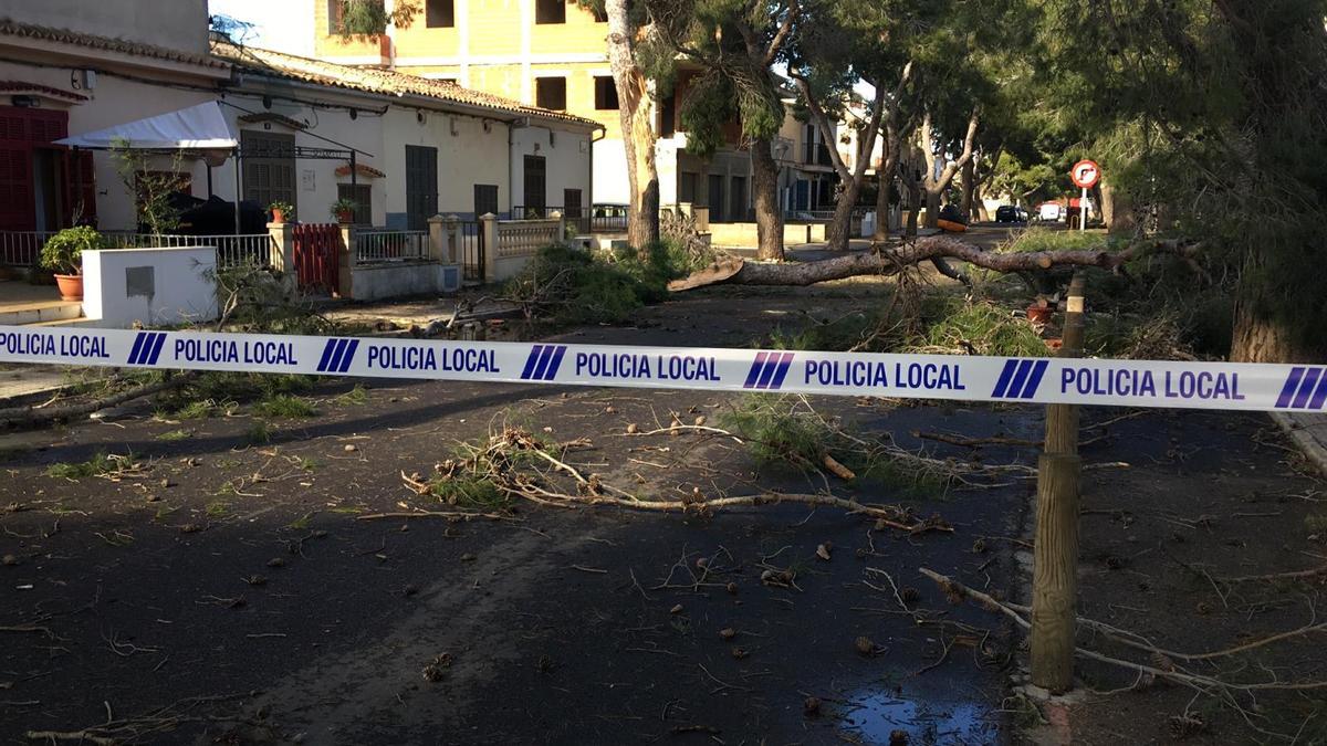 Los estragos de 'Hortense' en Mallorca