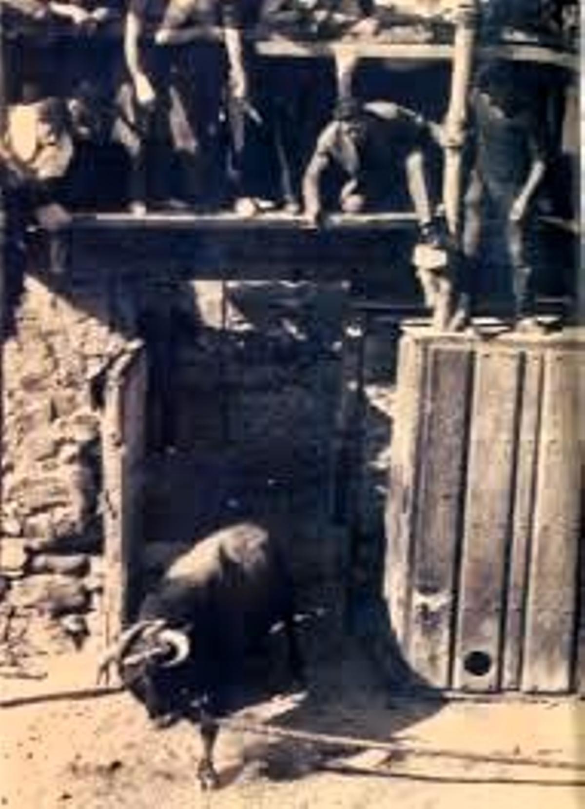 Imagen del antiguo toril de Benavente, que expondrá el Ayuntamiento esta tarde.