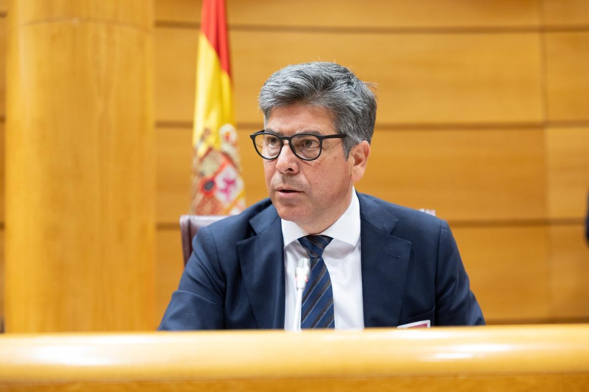 Rafael Llamas, durante su intervención en el Senado.