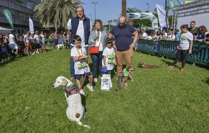 16/12/2018 LAS PALMAS DE GRAN CANARIA. Carrera ...