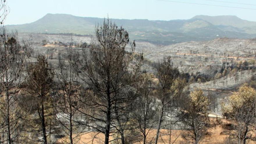 Els Bombers donen per extingit l&#039;incendi forestal d&#039;Òdena