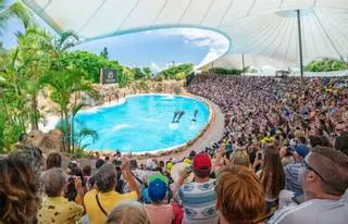 Loro Parque estrenará dos instalaciones en los actos por su 50 aniversario