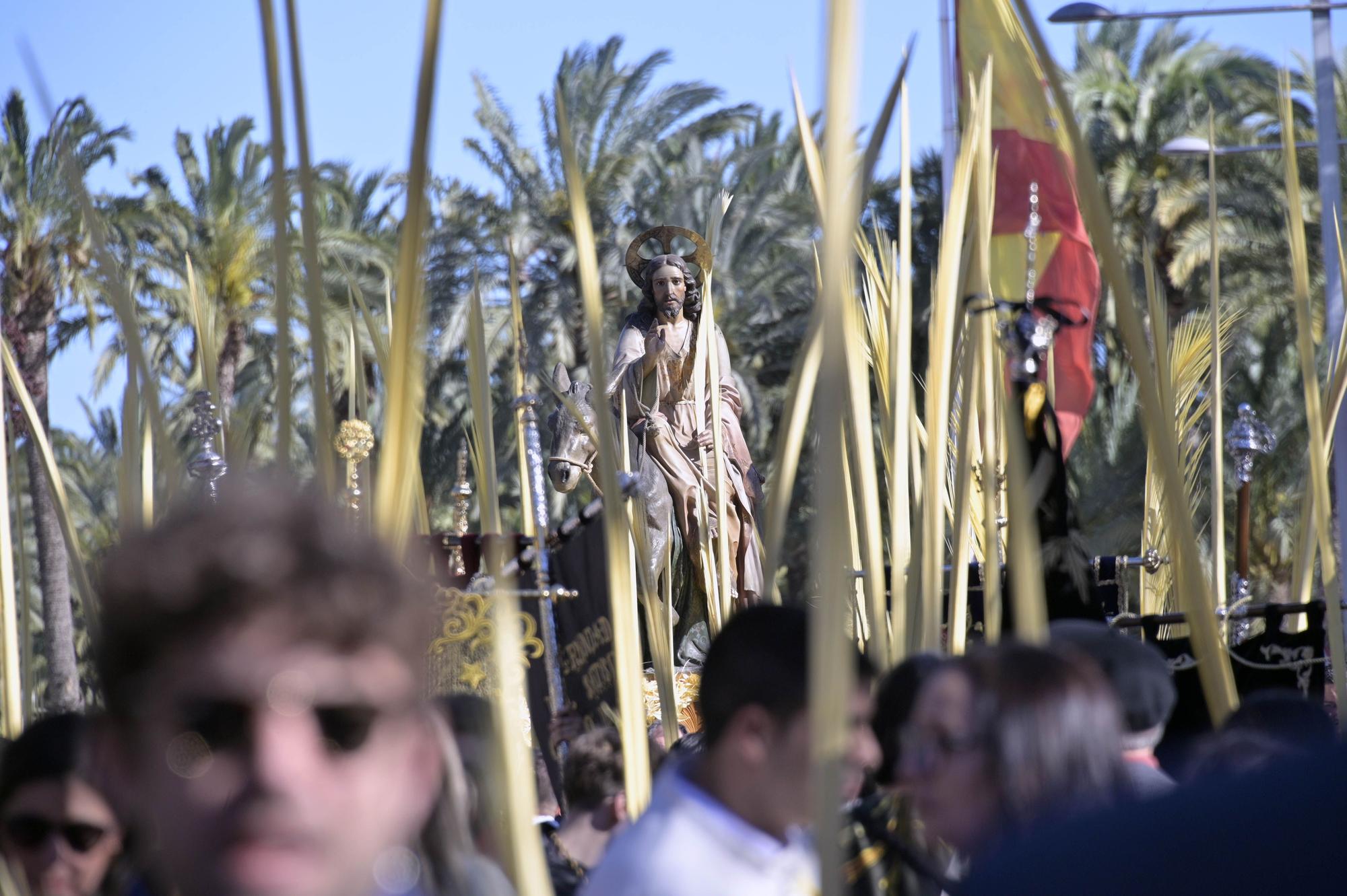 Domingo de Ramos en Elche