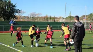 ¿Quieres ser entrenador de fútbol, baloncesto o esquí?