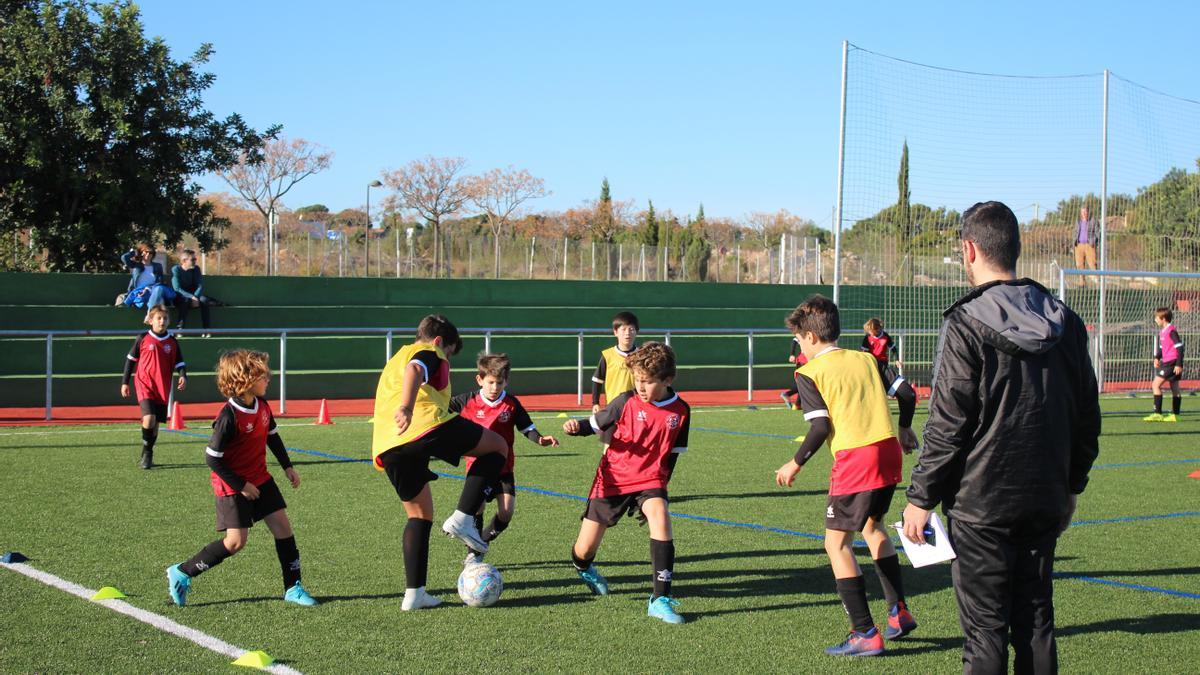 Las pruebas de acceso al ciclo de  Técnico Deportivo en Fútbol tendrán lugar el 17 de enero.