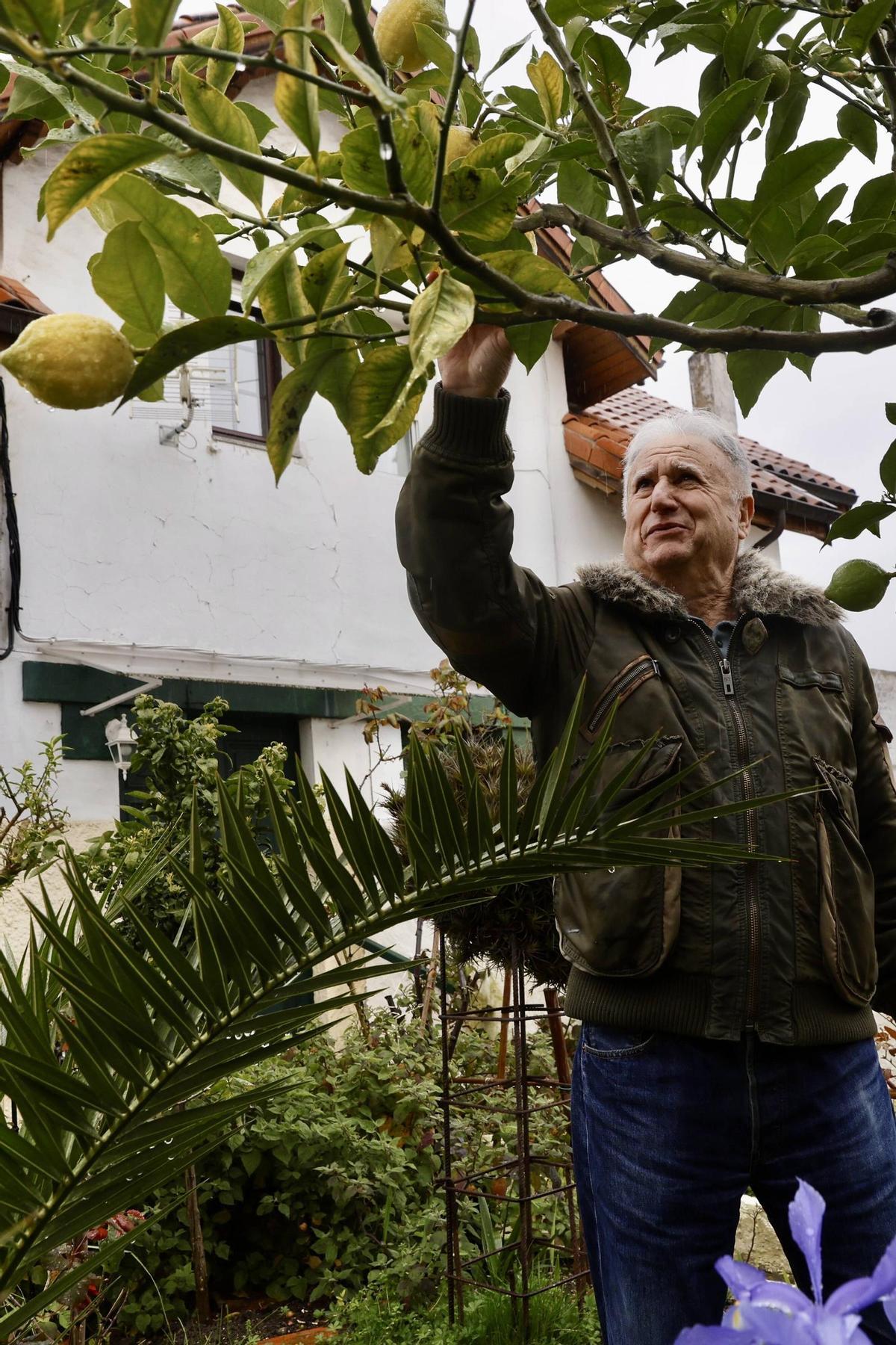 Una mirada histórica a las Casas Baratas del barrio gijonés de El Coto, en imágenes