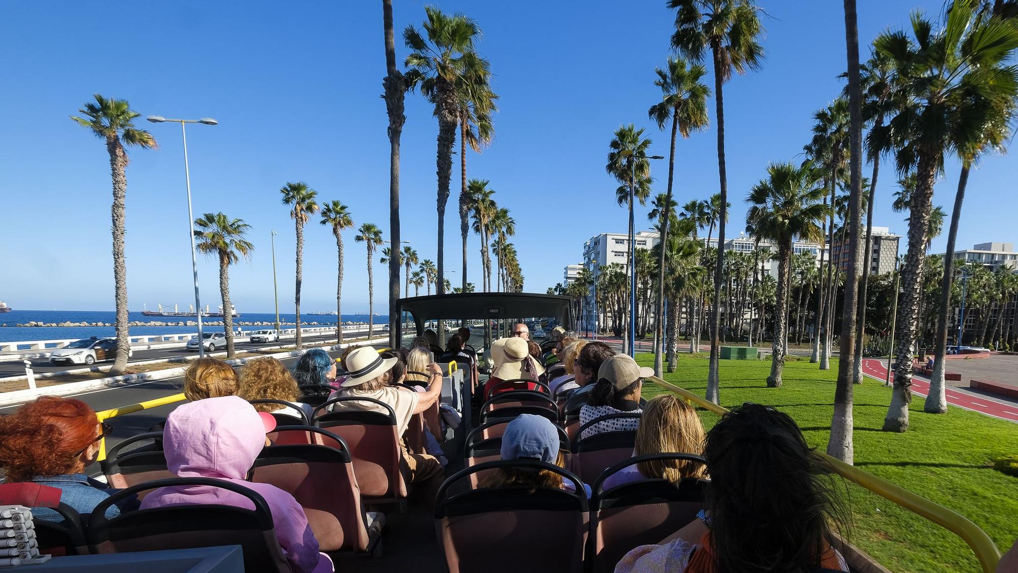 Ruta Violeta en Las Palmas de Gran Canaria