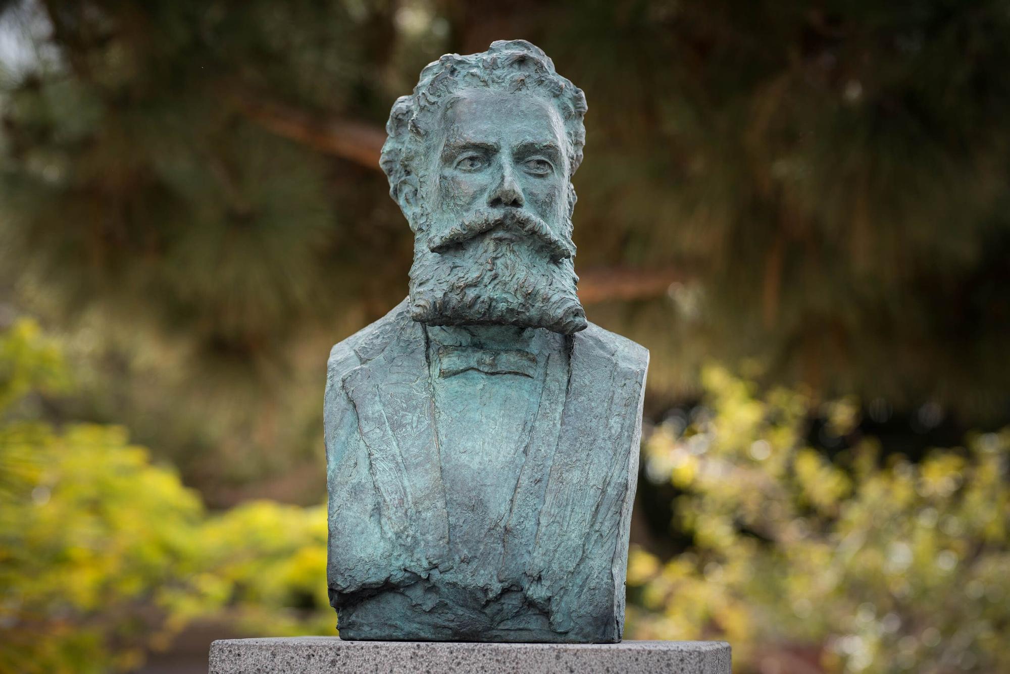 Colocación de un busto en Arona en homenaje a Antonio Domínguez