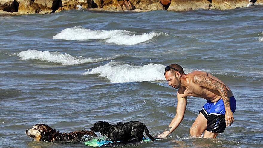 La playa para perros se convierte también en un atractivo turístico