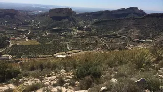 El Consell concede ayudas a 110 voluntarios para que cuiden de la sierra de Crevillent este verano