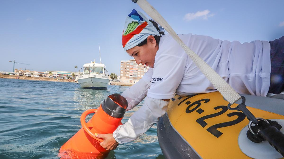 Vigilantes del tesoro del Mediterráneo en la Vega Baja