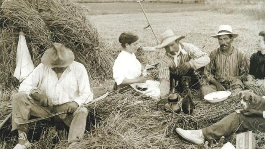 Una de les més de 4.000 fotografies del món agrari recollides en el procés participatiu obert per la mostra