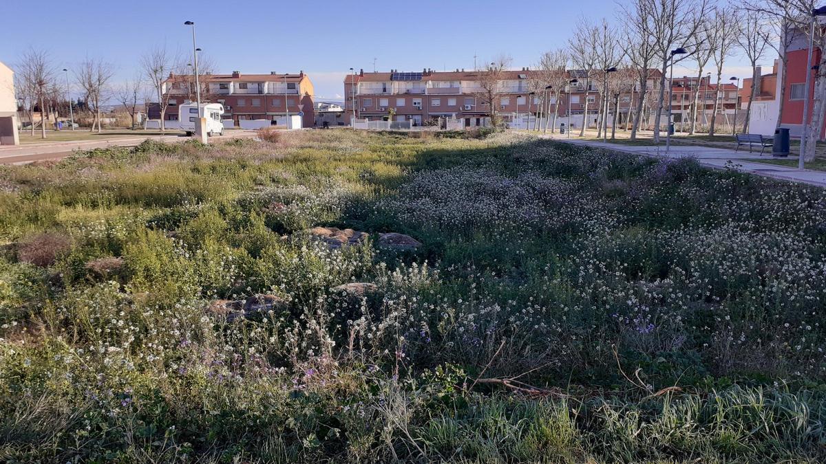 Una de las parcelas municipales donde el ayuntamiento planea construir VPO.