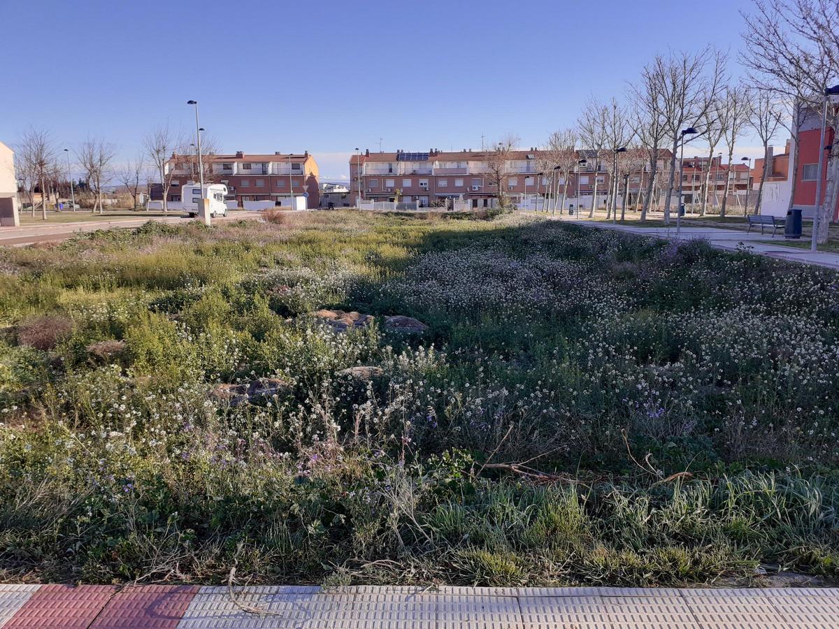 Una de las parcelas municipales donde el ayuntamiento planea construir VPO.