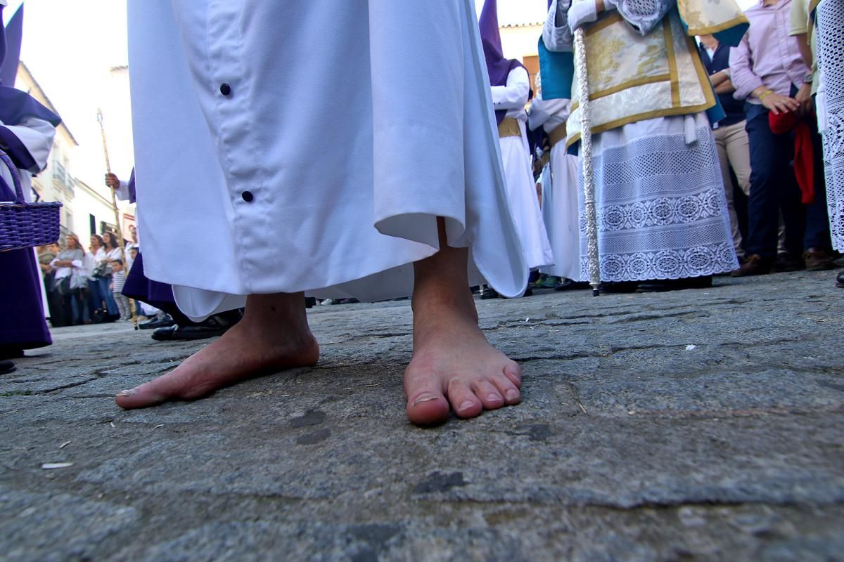 FOTOGALERÍA / Hermandad de la Santa Faz