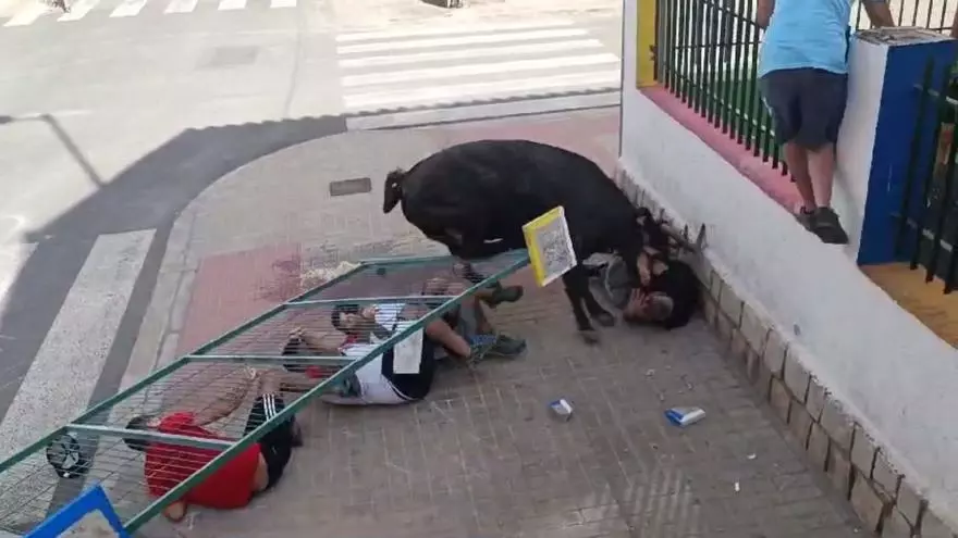 Sustos durante unos "bous al carrer" en Sagunt