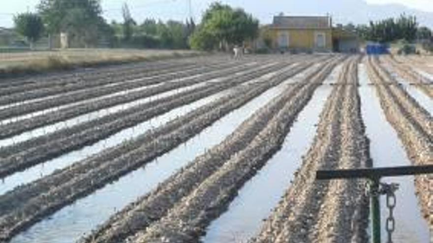 El regadío tradicional se opone a recibir agua de los pozos de sequía