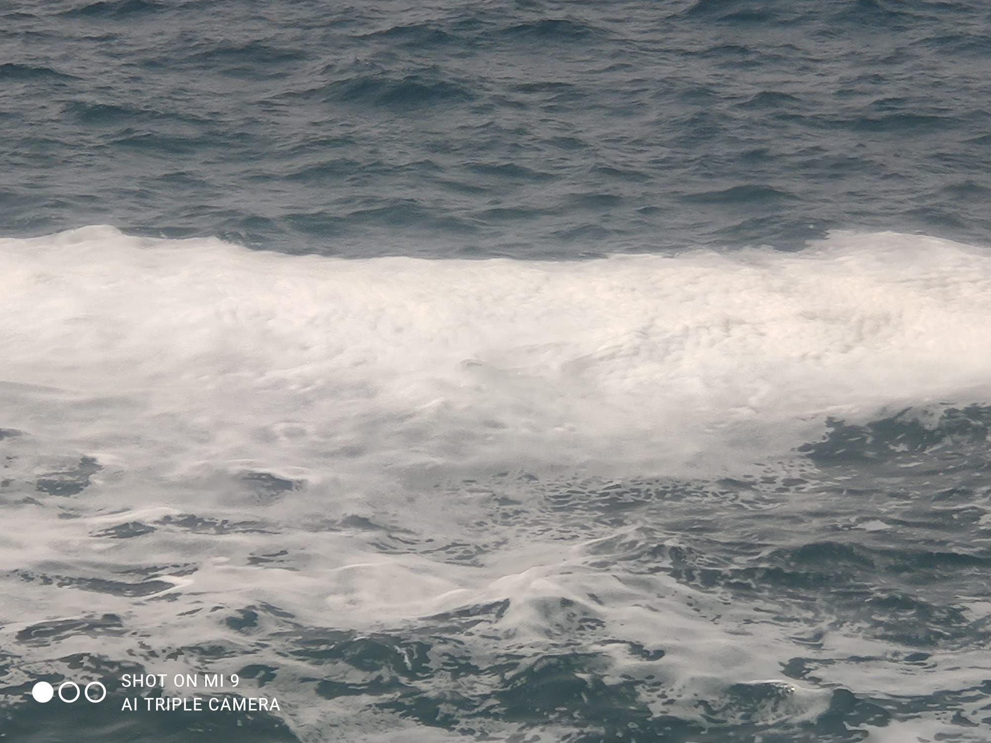 La misteriosa mancha de espuma de Cala Nova